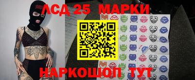 соль ск Новодвинск