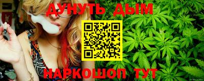 соль ск Новодвинск