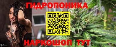 соль ск Новодвинск