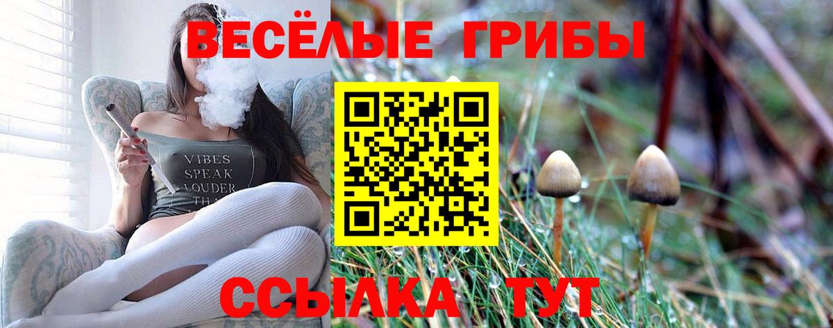 Псилоцибиновые грибы прущие грибы Долгопрудный